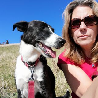 Profile photo for Nicola  Salt 