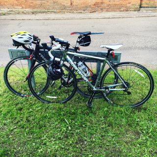 Profile photo for Sarah Alexis-Moss