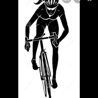 Profile photo for Terry Phillips