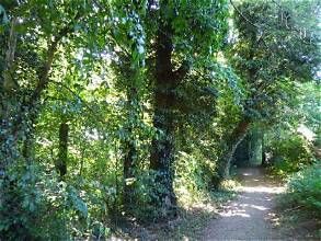ST ALBANS CYCLE HUB - MARSHALSWICK, JERSEY LANE AND HIGHFIELD LOOP - FAMILY FRIENDLY