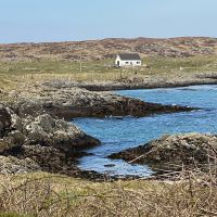 Profile photo for Nikki Starey