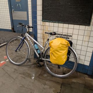 Profile photo for Sarah Montgomery