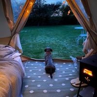 Profile photo for Polly Gledhill 