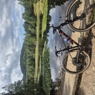 Profile photo for Lauren Currie