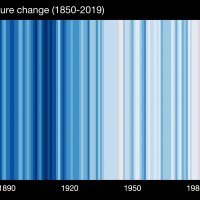 Profile photo for Helen Castley