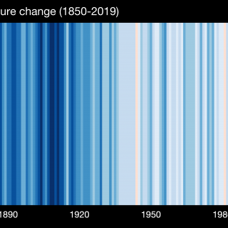Profile photo for Helen Castley
