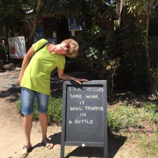 Profile photo for Ali Morris