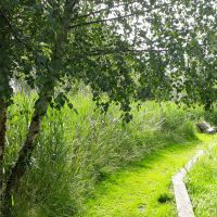 Profile photo for L G