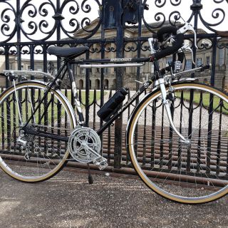 Profile photo for Paul Varga