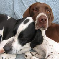 Profile photo for Jane Beeley