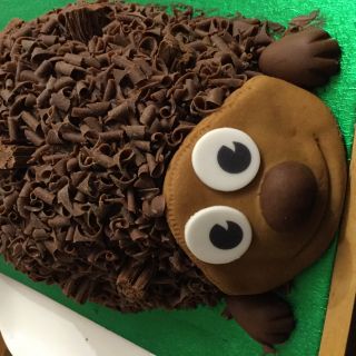 Profile photo for Paul Elkington