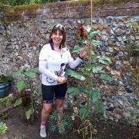 Profile photo for Wendy Arkell
