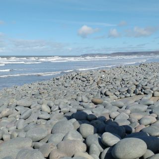 Profile photo for Kate Dempsie