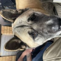 Profile photo for Jeffrey Gleed