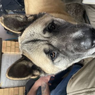 Profile photo for Jeffrey Gleed