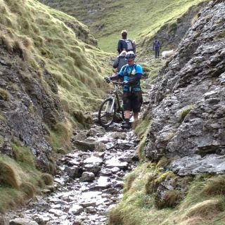 Profile photo for Terry Mckay