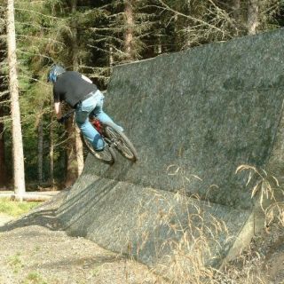 Profile photo for Ralph Kelly