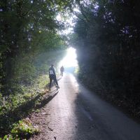 Profile photo for Meg Hepworth