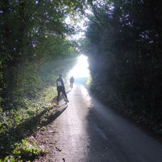 Profile photo for Meg Hepworth