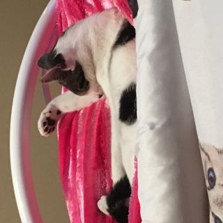 Profile photo for Angela Selby