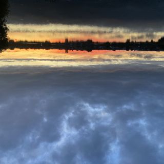 Profile photo for Sue Jones