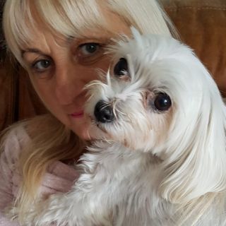 Profile photo for Cheryle Turner