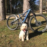 Profile photo for Tina Grif