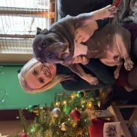 Profile photo for Sharon Stewart