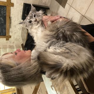 Profile photo for Derval Carey-Jenkins 