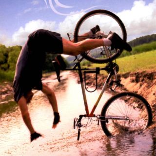 Profile photo for Mark Smallwood