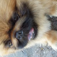 Profile photo for Bev Woodward