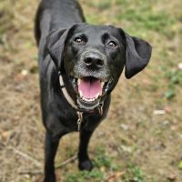 Profile photo for Susan Marshall