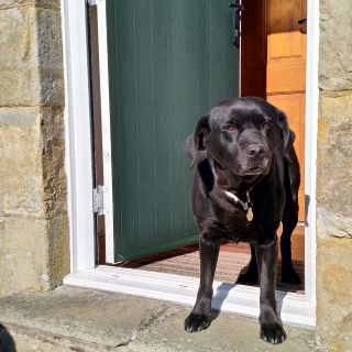 Profile photo for Julia M Thompson