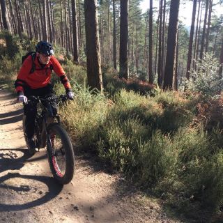 Profile photo for Graham Bullman