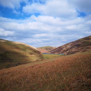 Profile photo for Charis  Kerr