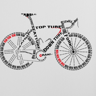 Profile photo for Jayne Dingle