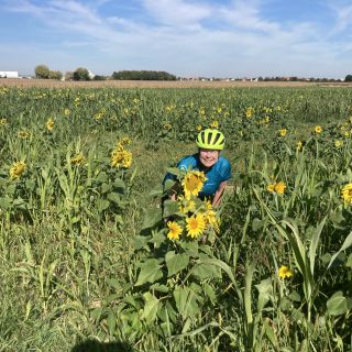 Profile photo for Liz Munro