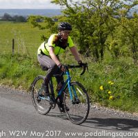 Profile photo for Lynda Rochester