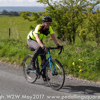 Profile photo for Lynda Rochester