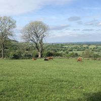 Profile photo for Lisa  M