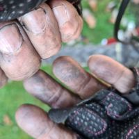 Profile photo for Linda Gransby