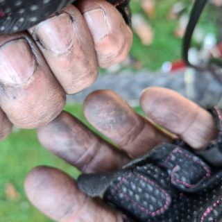 Profile photo for Linda Gransby