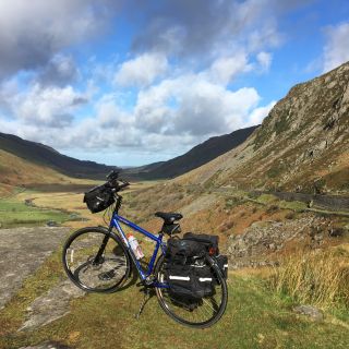 Profile photo for Elia Cox