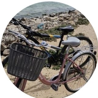 Profile photo for Fizz Rajput