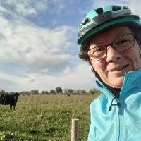 Profile photo for Paula  Morris 