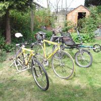 Profile photo for Simon Davies