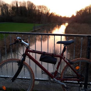 Profile photo for Michael leung