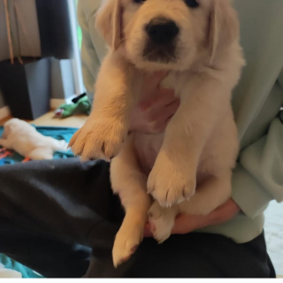 Profile photo for Coral Wood