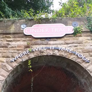 Profile photo for Diane Storey