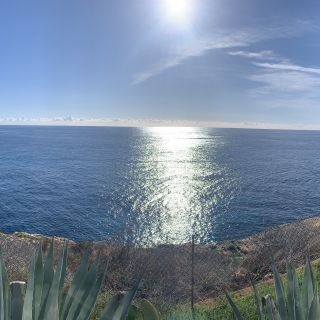 Profile photo for Nisa Graham